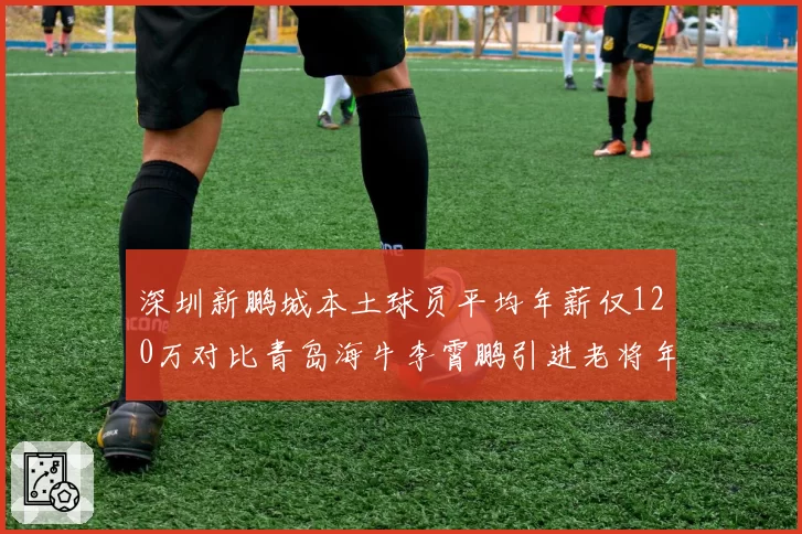 深圳新鹏城本土球员平均年薪仅120万对比青岛海牛李霄鹏引进老将年薪300万，薪资结构分化影响球队长期竞争力