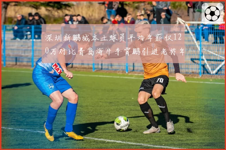 深圳新鹏城本土球员平均年薪仅120万对比青岛海牛李霄鹏引进老将年薪300万，薪资结构分化影响球队长期竞争力